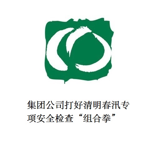 集團(tuán)公司打好清明春汛專(zhuān)項(xiàng)安全檢查“組合拳”